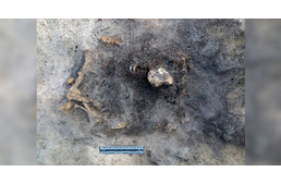 Együtt temették el a kőkorban élt gazdit és kutyáját - 8400 éves leletet tártak fel