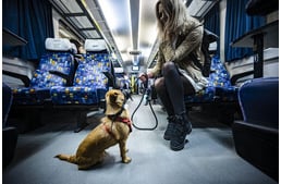 Szuper hír a kutyásoknak: jelentősen könnyebbé válik az utazás kedvencünkkel