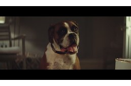 Kutya kapta a főszerepet a John Lewis karácsonyi videójában
