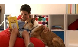 Így segít a gyereknek olvasni a kutya