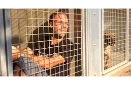 Egy francia humorista menhelyi kennelben fog élni, hogy megmentse a gazdátlan állatokat