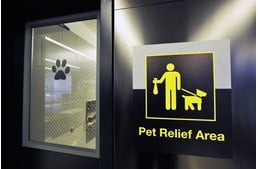 Különleges kutya-WC készült az utazó ebeknek egy amerikai reptéren