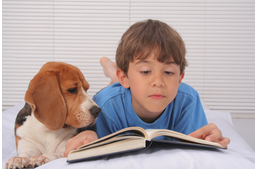 Kutyák segítségével sikeresebb az olvasástanulás!
