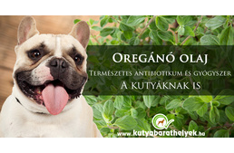 Természetes csodaszer kutyádnak - az oregánó olaj