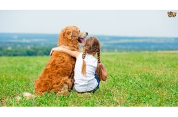 10 érv, hogy a gyereked kutya mellett nőjön fel