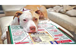 Gazdira váró kutyával érkezik a megrendelt pizza egy amerikai államban