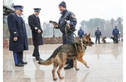 Kitüntették a rendőrkutyákat Veszprém megyében