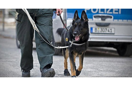 Kényszerpihenőre kerülnek a német rendőrkutyák az új állatvédelmi törvényük miatt