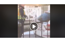 Állatot bántalmazó rendőrről készült videó korbácsolta fel a hangulatot - Frissítve: megjelent a rendőrség közleménye