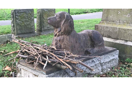 Megható hagyomány: a látogatók botokat hagynak a 100 évvel ezelőtt élt kutya sírjánál