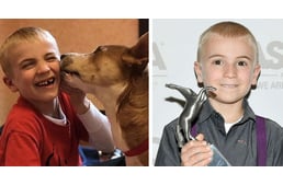 Több mint 1300 kutyát mentett már meg a mindössze 7 éves kisfiú - megnyerte Az Év Gyermeke díjat