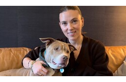 Scarlett Johansson és a vakrandi egy 12 éves pitbullal