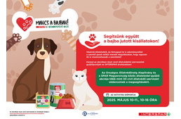 Országos összefogásra hív a SPAR – indul az állateledel-gyűjtés a rászoruló négylábúaknak