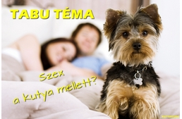 Tabutéma: szex a kutya mellett?