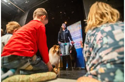 Színházban tanítják állatvédelemre a gyerekeket