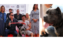 Tarantino kutya színésze kapott díjat Cannes-ba