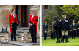 Szeretett állatai is búcsút vettek II. Erzsébettől a királynő temetésén