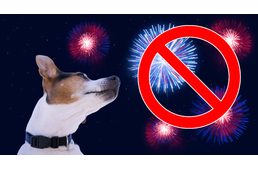 Frissítve - Nem csak a tűzijátékok árusítását, de a használatát is betiltották idén szilveszterre