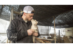 Olimpikon síelő segített megmenteni közel 100 kutyát egy kutyahús farmról