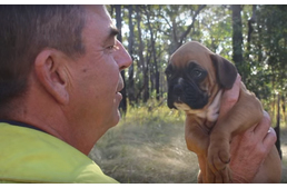 Megható rövidfilm egy mentett kutya életéről