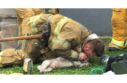 Hétköznapi hősök: tűzoltók élesztettek újra egy kiskutyát