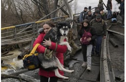 Csak a legfontosabbat viszik magukkal a menekülő ukrán gazdik: a háziállataikat