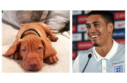 A Manchester United focistájának is magyar kutyája van!