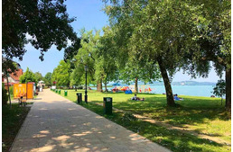 Újabb tilalom a Balatonnál, ahova a kutyások nem mehetnek úgy ahogy eddig