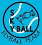 III. Skyball Flyball Kupa