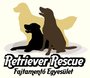  Retriever Rescue séta a fóti Somlyón