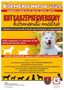 Körmendi Napok - Kutyaszépségverseny