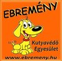  Ebremény 7. születésnapi buli