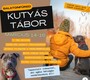 Balatonfüredi kutyás tábor