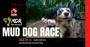 Mud dog race