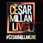 Cesar Millan Live 2017 
