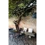Hotel Relais Alcova del Doge *** Superior Hotel Relais Alcova del Doge *** Superior