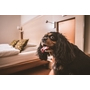 Hotel Sopron Hotel Sopron