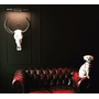 Black Sheep Barber Shop Black Sheep Barber Shop