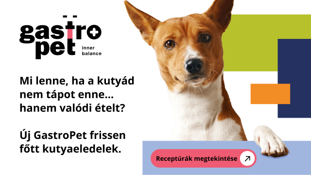 GastroPet